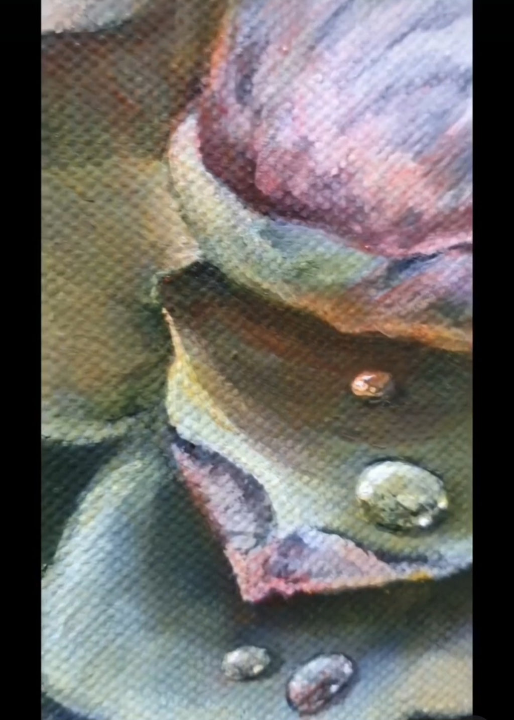 Hansestadt Rostock Ros