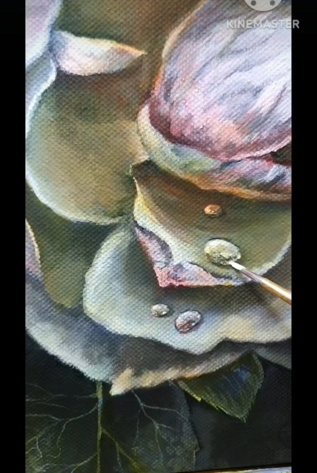 Hansestadt Rostock Ros