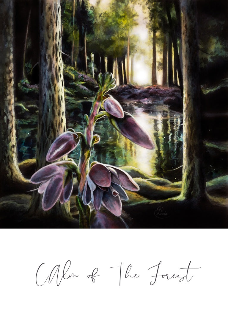 Calm of the Forest - Poster